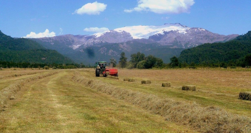 Change Campo und WeltGrund: Orientierung dringend gesucht