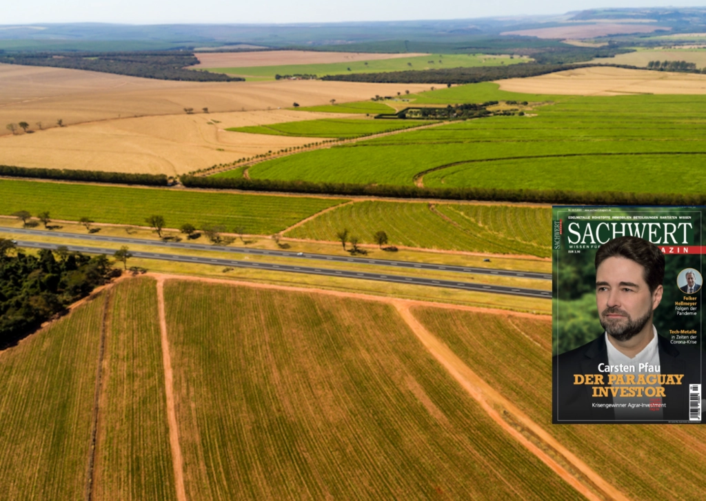 Der Paraguay Investor