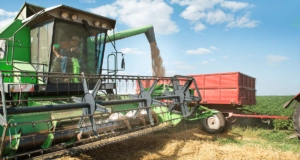 Getreide: Steigende Nachfrage treibt Preise in die Höhe