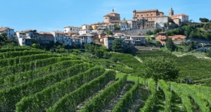 Italien protestiert gegen Wasser im Wein