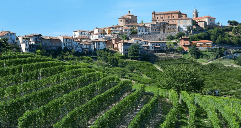 Italien protestiert gegen Wasser im Wein Italien protestiert gegen Wasser im Wein