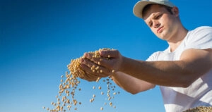 Veggie-Boom gefährdet durch Rohstoffmangel