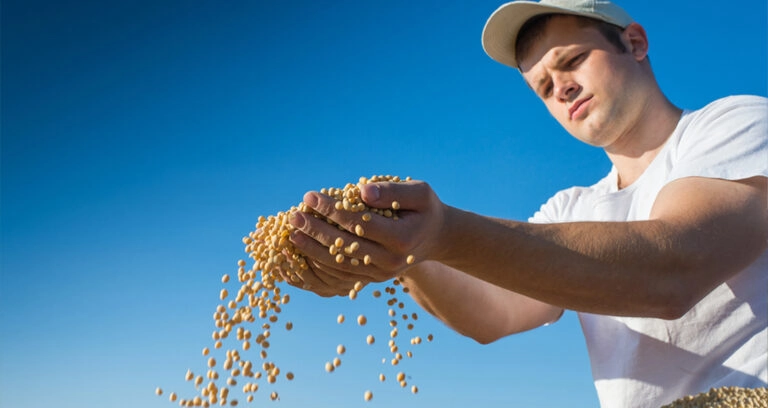 Veggie-Boom gefährdet durch Rohstoffmangel Veggie-Boom gefährdet durch Rohstoffmangel