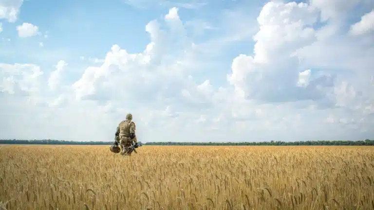 Superzyklus oder Achterbahnfahrt? Superzyklus oder Achterbahnfahrt?
