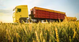 Ukraine-Getreide verzerrt EU-Markt