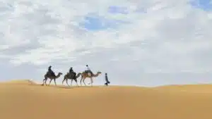 Handel im Wandel – eine kleine Geschichte der Wirtschaft und des Geldes