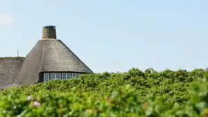 Momentaufnahme: Soviel kosten Luxus-Immobilien derzeit auf Sylt, in Berlin und München