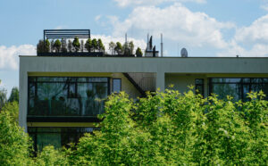 Immobilienbranche: Biodiversität wird zum zentralen Thema