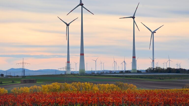 DERA warnt: Chinas Exportauflagen für Seltene Erden setzen europäische Rüstungs- und High-Tech-Industrie unter Druck