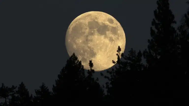 Der nächste Rohstoffmarkt liegt im All: Mit der Rückkehr zum Mond wächst das Interesse an Ressourcen jenseits der Erde